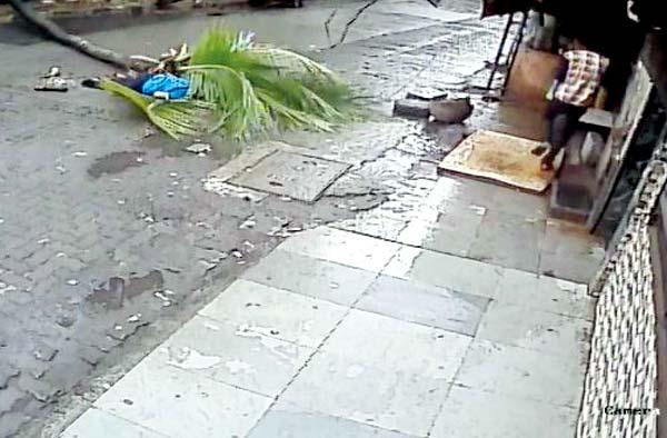Mumbai: Ex-Doordarshan female anchor crushed by falling tree
