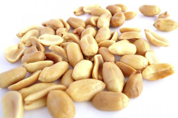 Mumbai: BMC chews over supplying peanuts, gram for mid-day meal