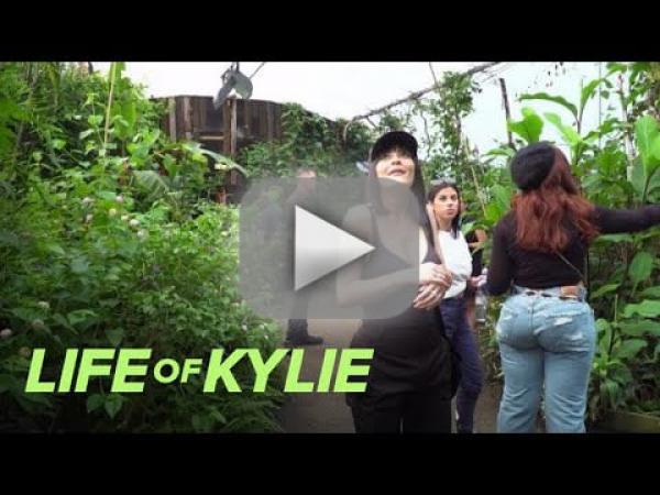 Kylie Jenner Reveals Crippling Fear of Butterflies ... Seriously