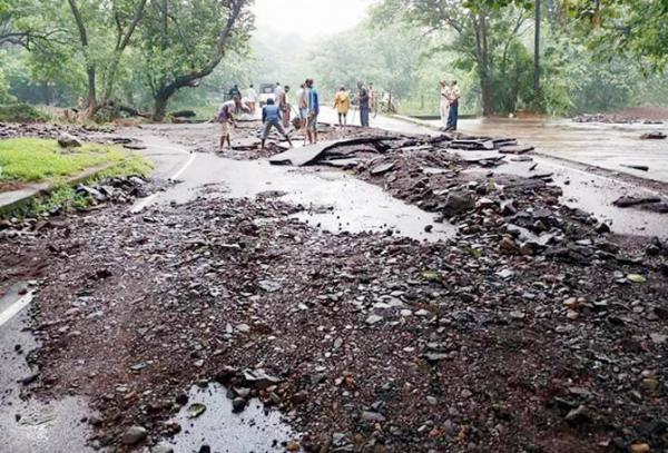 Mumbai Rains: Floods damage Sanjay Gandhi National Park premises