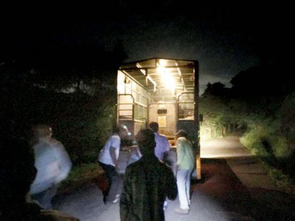 Mumbai: How the Aarey Colony leopard gave clues for its capture