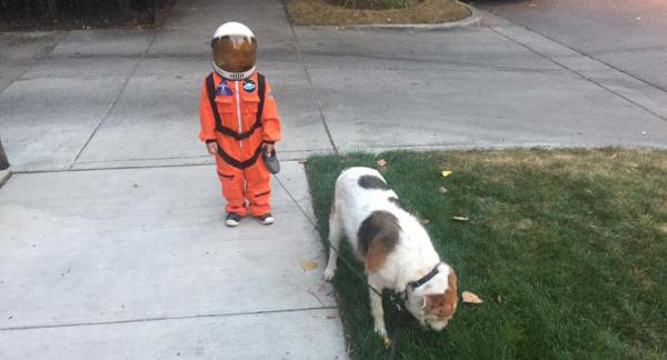 Little Boy Walking His Dog In An Astronaut Costume Inspires An Out Of This World Photoshop Battle