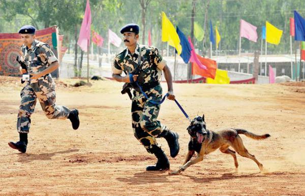 Maharashtra Police to get a new breed of canine officers from Belgium