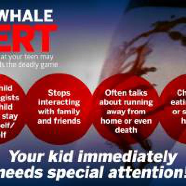 #39;Russia willing to assist in controlling Blue Whale Challenge#39;