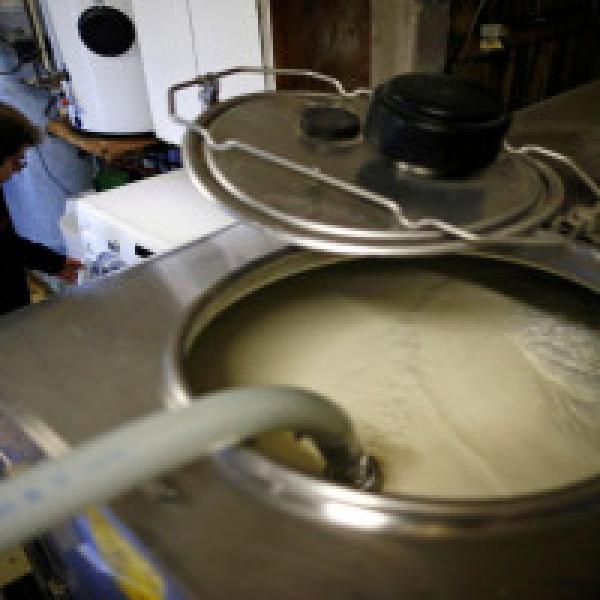 Govt sets up special fund for developing dairy sector:Minister