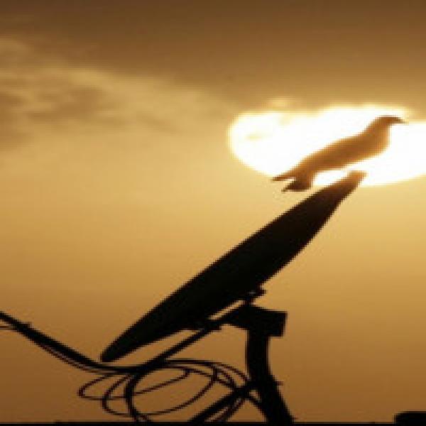Sun TV Q2 PAT may dip 1% YoY to Rs. 267.6 cr: Edelweiss