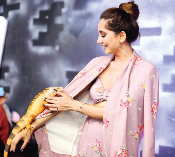 When Anusha Dandekar wanted to kiss her new 'arm candy'