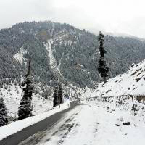 Five bodies recovered from avalanche site in Jammu Kashmir