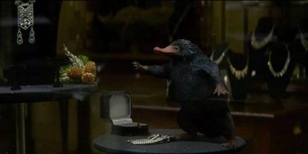 3 Solid Reasons Why Every Man Should Have A Niffler As A Pet