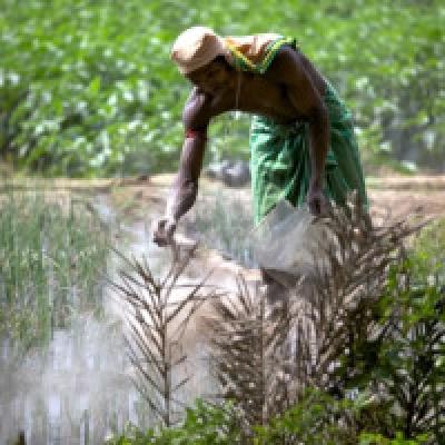 Hours before roll out GST Council cuts tax rate on fertiliser to 5%