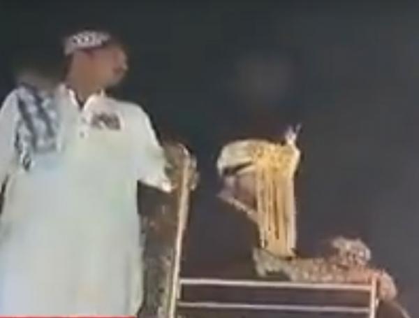 Video: Pakistani groom makes grand entrance at wedding atop a lion