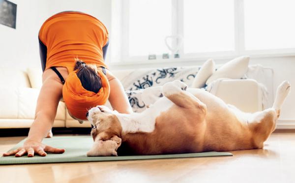 Participate in a yoga session with your pet pooch