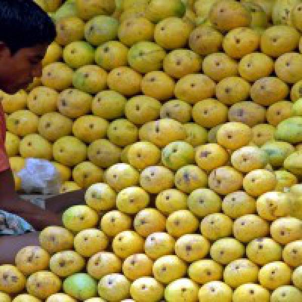 #39;Less mango export likely this year from Uttar Pradesh#39;