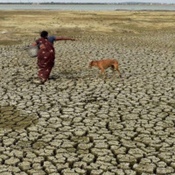 Dry spell threatens Indian summer crops, could raise farmers woes