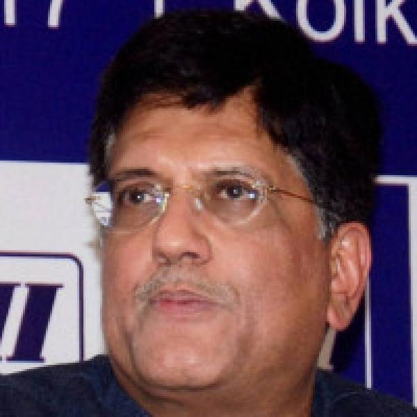 Lack of private participation hindering mineral exploration: Union minister Piyush Goyal