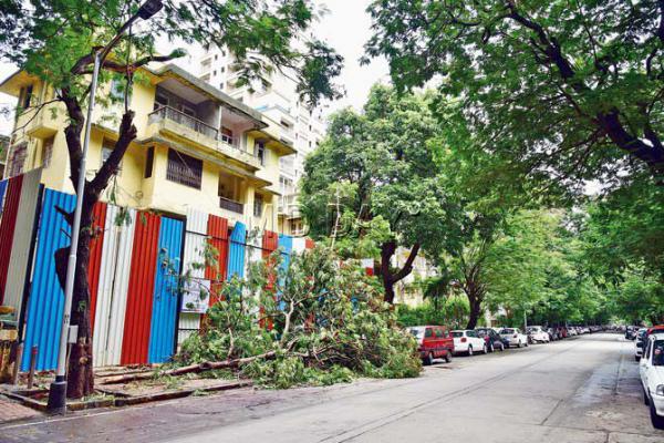 Mumbai: Man falls to death while trimming a tree in Matunga