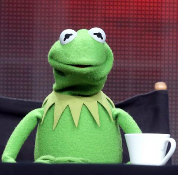 Kermit The Frog Actor FIRED for "Unacceptable Behavior" After 27 Years, Speaks Out!