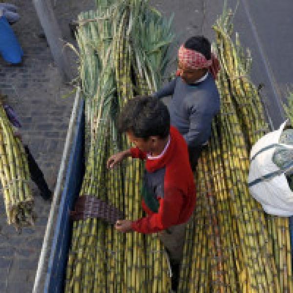 Scrap state-advised price on cane: Centre To UP