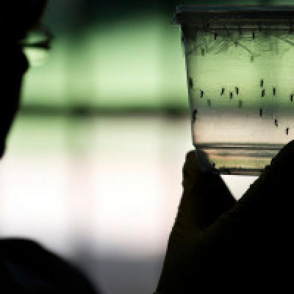 Government acting on a war-footing to tackle the spread of dengue: Tamil Nadu CM
