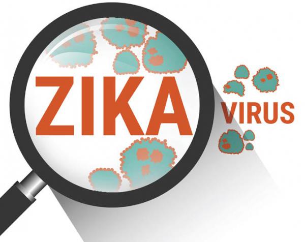 Spanish scientists discover potential anti-Zika drug