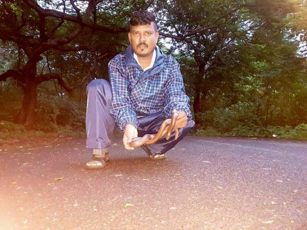 Mumbai: Auto driver rescues red sand boa worth lakhs at Aarey Colony