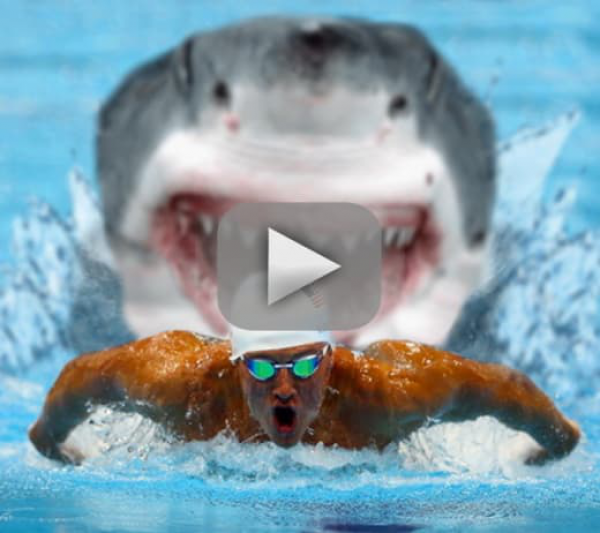 Michael Phelps Races a Shark, Viewers Lose Badly