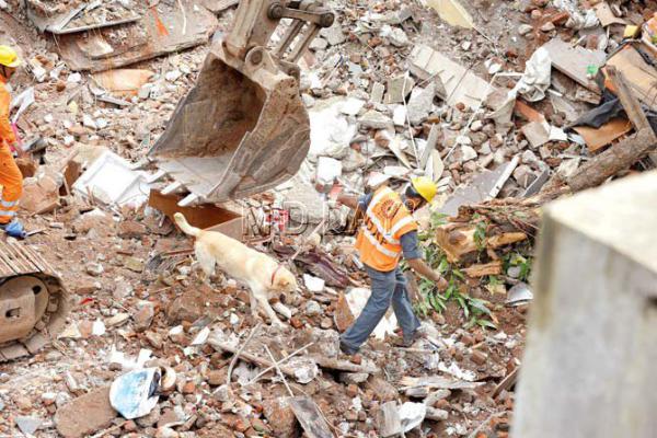 Ghatkopar building collapse: Canine hero Uday saves three lives