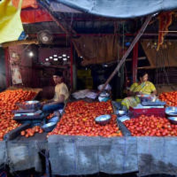 Tomato prices skyrocket as heavy rains cause shortage in supply