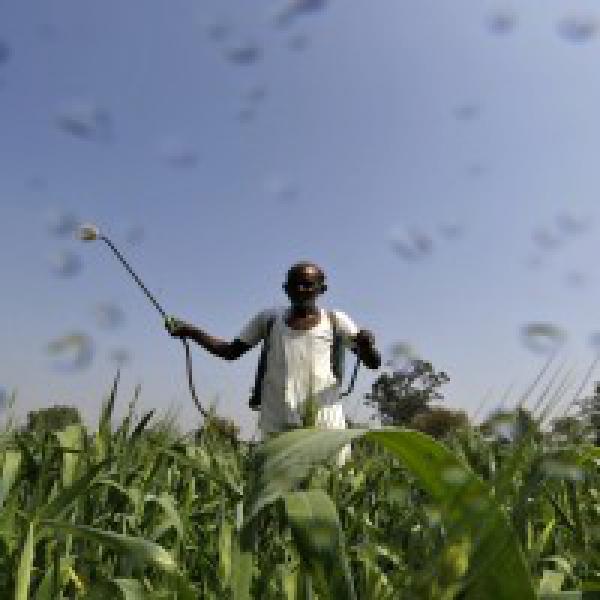 Positive about National Fertilisers#39; OFS: Investment Imperative