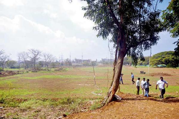 Aarey Milk Colony's fate likely to be sealed on July 31