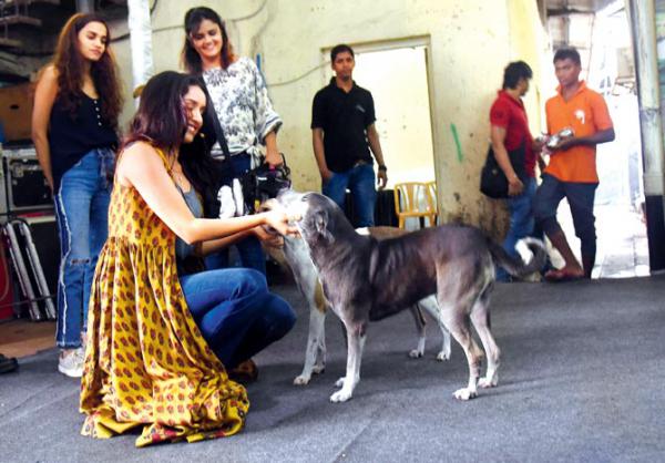 This photo of Shraddha Kapoor playing with stray dogs will make your day