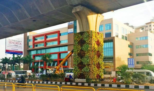 Bangalore Is Going Green! The City Gets Another Vertical Garden To Combat Pollution