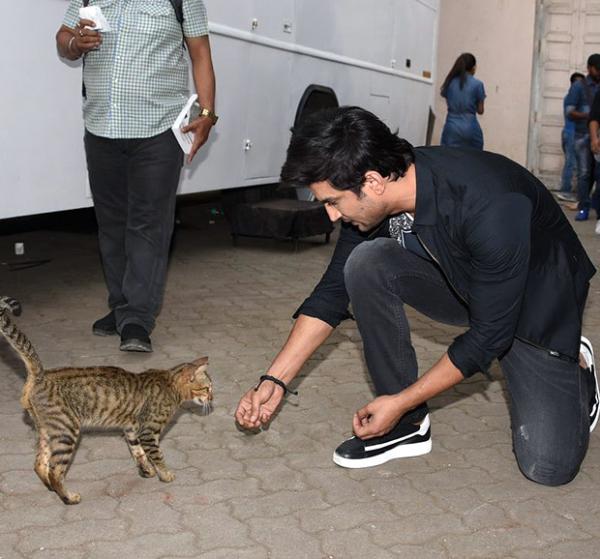  CUTE! Sushant Singh Rajput spotted playing with a lovely, stray cat 