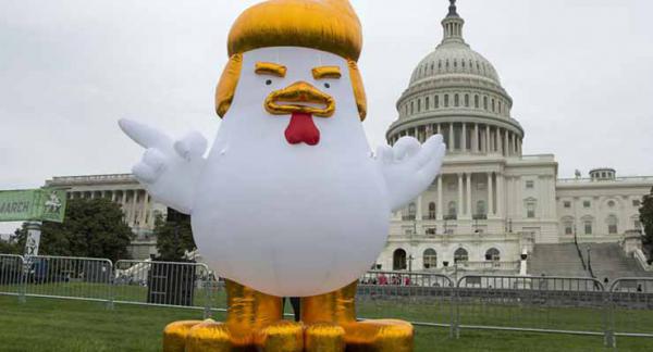 This Guy Redefines The Term &apos;Chicken Out&apos; By Placing A Giant Inflatable Trump Chicken Outside The White House