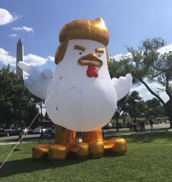 Trump Chicken Confounds, Divides the Internet