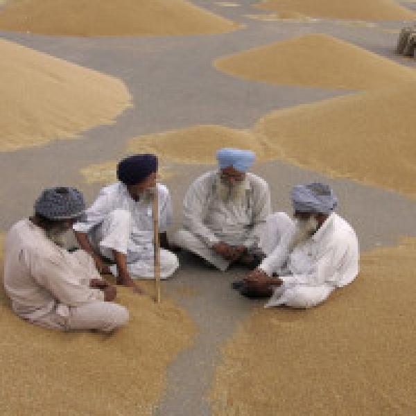 Govt revises up 2016-17 grain output to record 275.68 mn ton