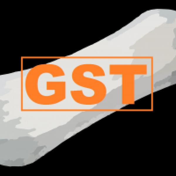 Kerala assembly passes GST bill
