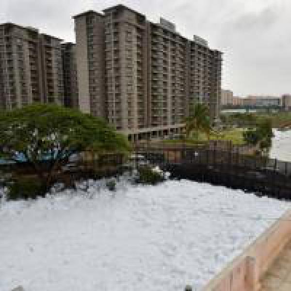 Toxic froth from Bangalore lake recedes, rain-hit areas recovering