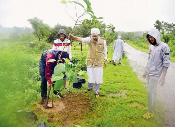 Mumbai: Aaditya Thackeray kicks off plantation drive in Aarey amidst rains