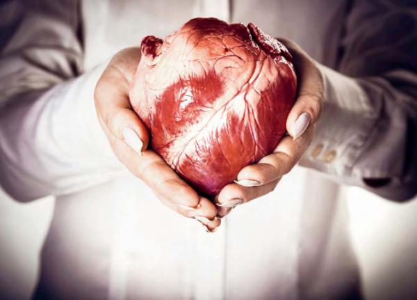 Dahanu resident's heart transplanted into Mumbai woman