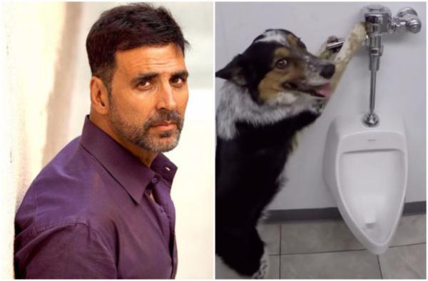  WATCH: Akshay Kumar shares a hilarious video of his dog pulling the toilet flush handle 
