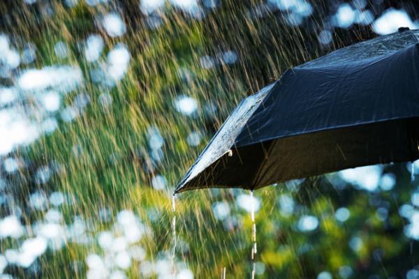 Heavy rains lash Karnataka, affect daily life: IMD