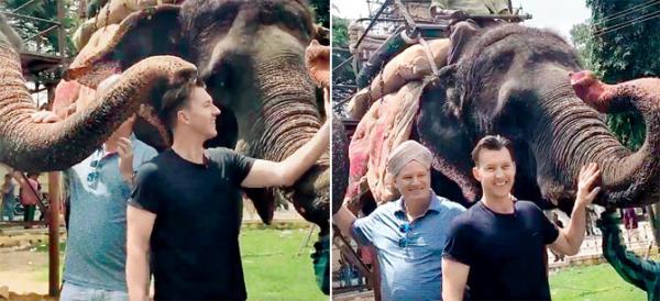 Watch video: Brett Lee and Dean Jones 'blessed' by elephants in Mysore