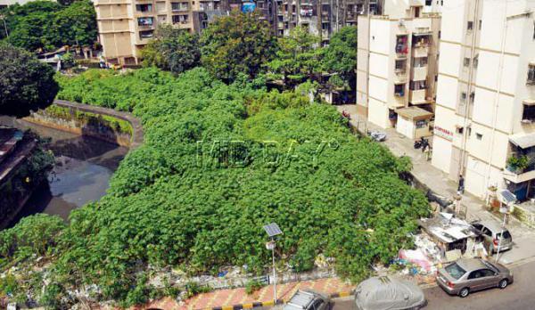 Mumbai: 5,820 sqm park in Jogeshwari turns dump yard thanks to BMC
