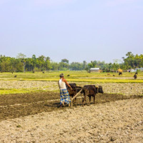 Maharashtra government extends deadline for online farm loan waiver applications
