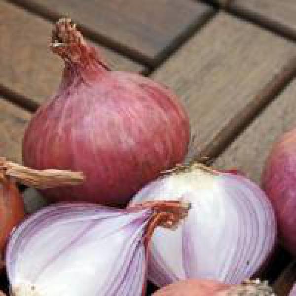 6 Nasik mandis shut due to sudden fall in onion prices