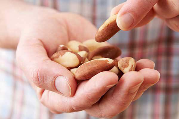 Health: Eat nuts to cut off obesity risk