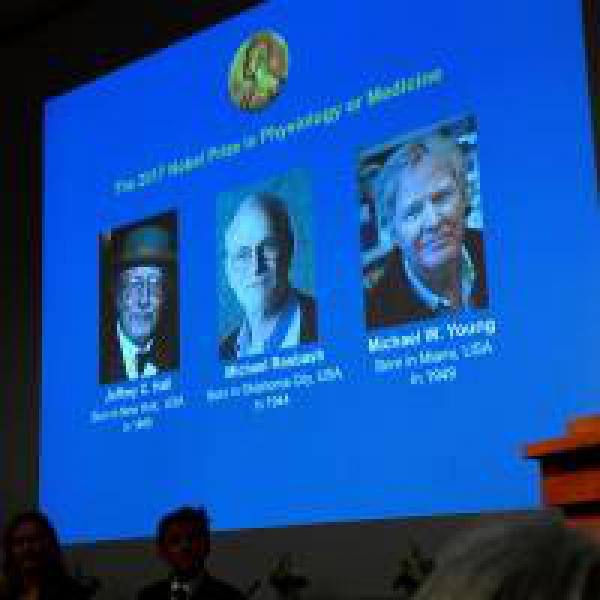 US biology trio wins Nobel Medicine Prize