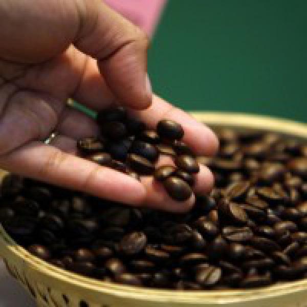 India#39;s coffee output pegged at record 3.5 lakh tons in 2017-18