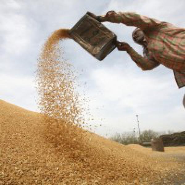 Govt may hike import duty on wheat to 20-25%